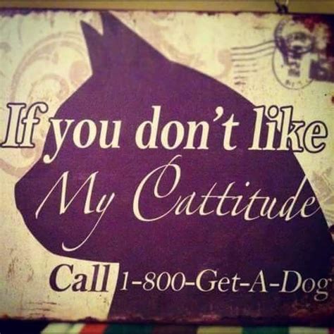 Pin By Express Yourself Ceramics And On Cat Stuff Crazy Cat People