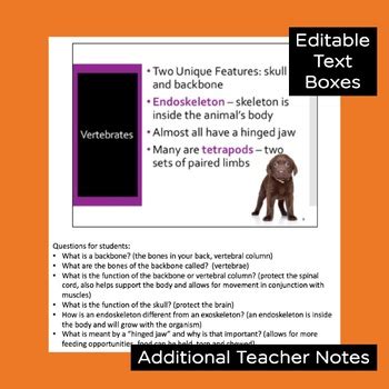 Vertebrates PowerPoint And Notes Distance Learning By Science Island