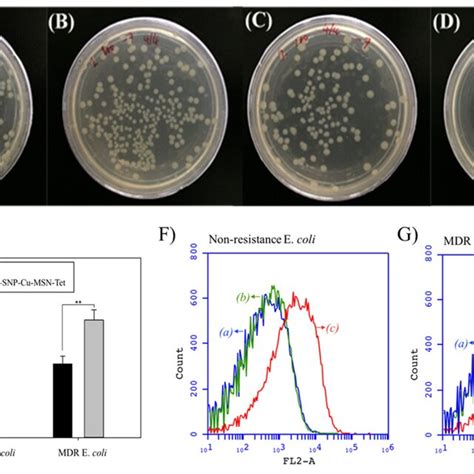 Images Showing A Variable Number Of Colony Forming Units Cfus Of