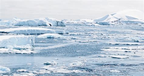 Record de température en Antarctique les 20C franchis pour la