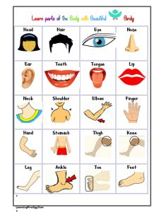 Parts of the Body Chart for Kids - LearningProdigy - Charts