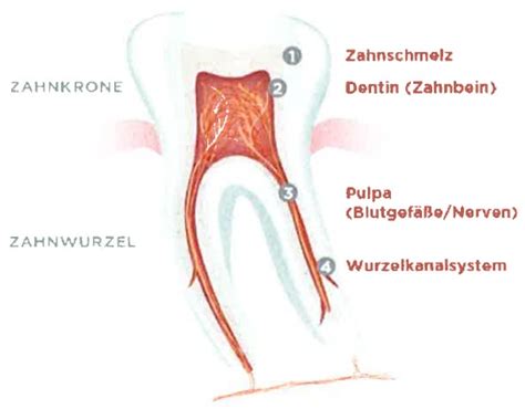 Endodontie Wurzelkanalbehandlung Zahnarztpraxis Kling