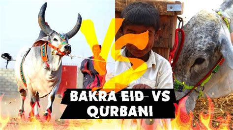 Bakra Eid Qurbani 2022