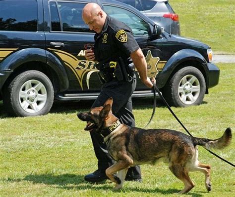 Albany County Sheriffs Office Adds 7th Police Dog