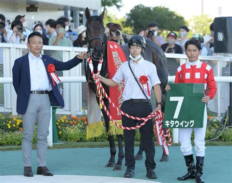 【新潟2歳s】4番人気キタウイングが重賞初v競馬・レースデイリースポーツ Online