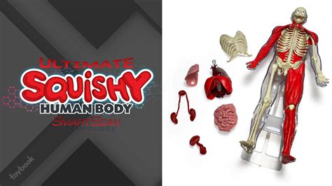 Smartlab Toys Introduces The Ultimate Squishy Human Body The Toy Book