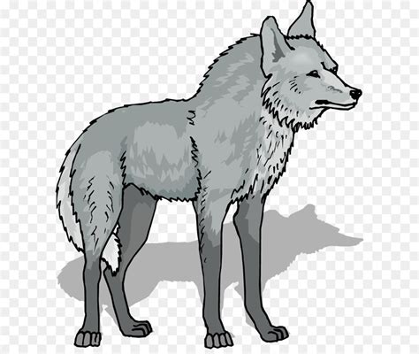 Gray Wolf Clip Art Animal Wolf Ferocious Png Download 616659