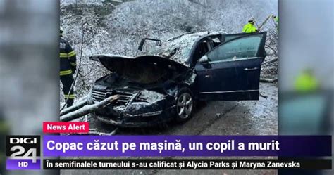 Un băiat de 14 ani din Reșița a murit după ce un copac s a prăbușit