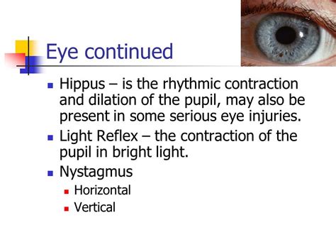 Hippus Pupil Reaction