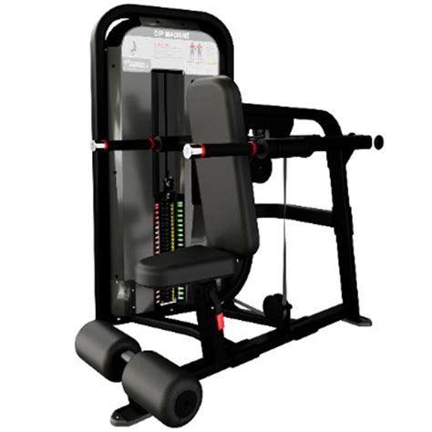 Maquina De Triceps Nautilus Impact Series Dip Machine Fitness For