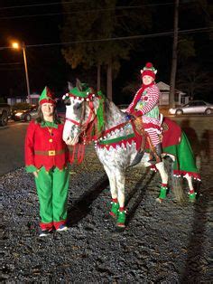 11 Horse-Christmas Parade Ideas | horse costumes, christmas parade ...