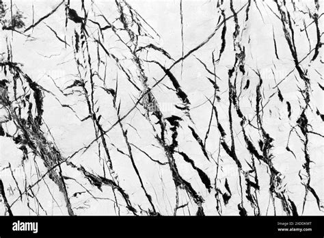 Elegant Black And White Marble Texture With Striking Vein Patterns The