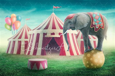 Vintage Circus Digital Backdrop With Stage Podium for Photographers ...