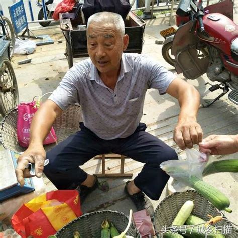 城裡老人有退休金農村老人沒有，七旬農村漢種菜賣點錢權當退休金 每日頭條