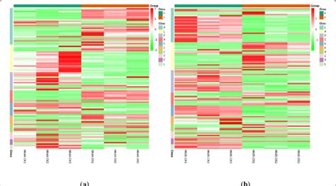 Clustering Heat Maps Of Differential Metabolites Between The Following