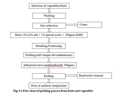 Flow Diagram Pickle Processing Flow Chart Flowchart Process