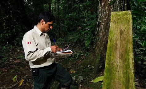 Convocatoria De Trabajo Sernanp C Mo Acceder A Sueldos De Hasta S