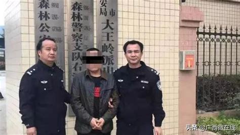 百色一男子故意超界指認林木，涉嫌盜伐林木被刑拘 每日頭條