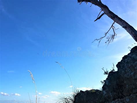 Naked Freedom Stock Photos Free Royalty Free Stock Photos From Dreamstime
