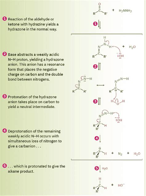 Nucleophilic Addition Of Hydrazine The Wolff Kishner Reaction