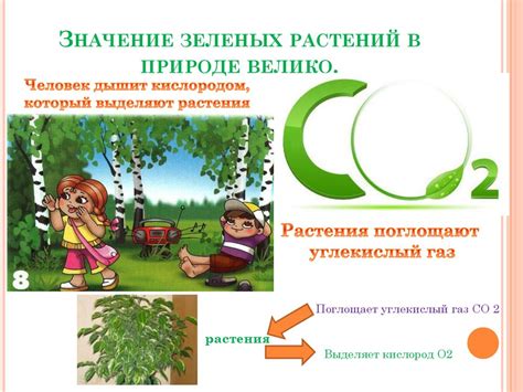 Биология-наука о живой природе. Значение растений в природе, народном ...