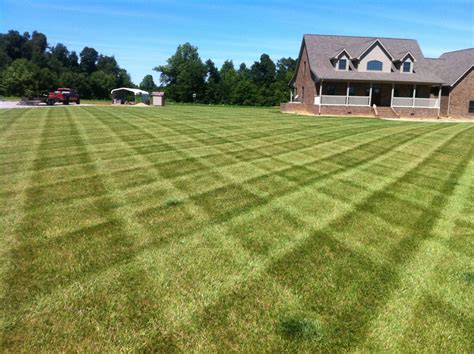 Lawn Stripes Lawn Striping Lawn Golf Courses