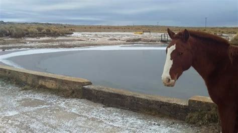 Nevó en las sierras de Córdoba Las fotos del paisaje en las zonas más