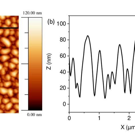 a AFM topographic image 4 x 4 µm² of BFCO grown atop the LSMO STO