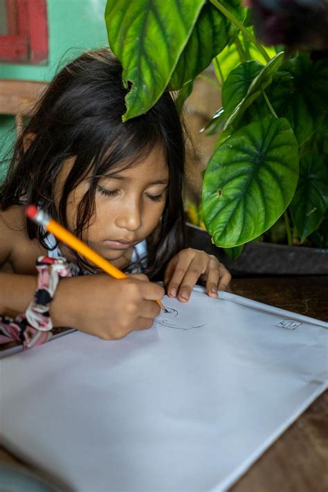 Antoine Boureau Fille De Ans Dessinant Sur L Le De Ometepe