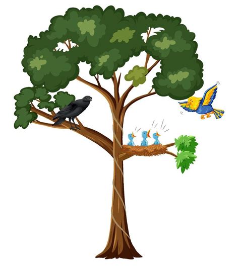 Many Birds On The Tree 6199737 Vector Art At Vecteezy