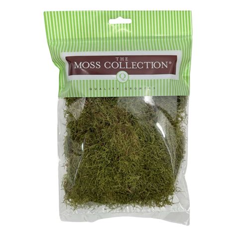 Sheet Moss - Quality growers Floral Co. - Natural and Preserved Sheet Moss – Quality Growers ...