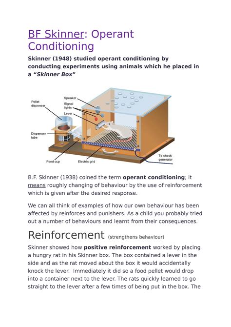 Skinner Box Diagram