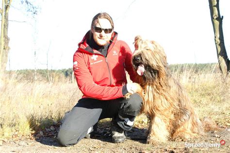 Psi Behawiorysta Kotów Zoopsycholog Zwierząt Szkolenie Psów Warszawa