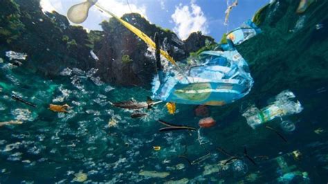 Pollution Plastique Des Océans Du Visible à Linvisible Les