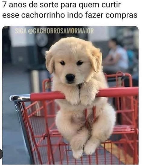 Sai Fora Maluco Todo Dia Isso Kksjskskj Huestation