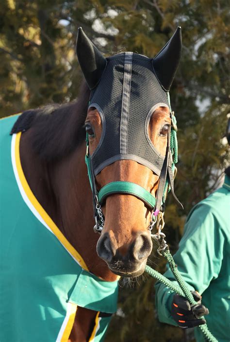 【京都記念】重賞連勝を狙うベラジオオペラは5枠5番 プラダリアは3枠3番に決まる 枠順決定 Umatoku 馬トク