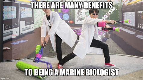 Live From The Squid Research Lab There Are Many Benefits To Being A