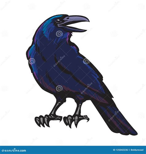 Cartoon Black Crow Isolated On White Background Raven Halloween