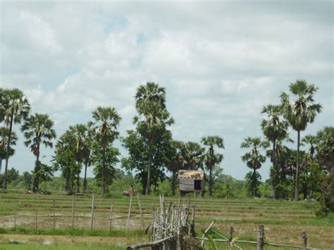 The North Cambodia Laos Border