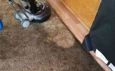 Carpet Rug And Hard Floor Cleaning By Code 3 Carpet Cleaning Reno LLC