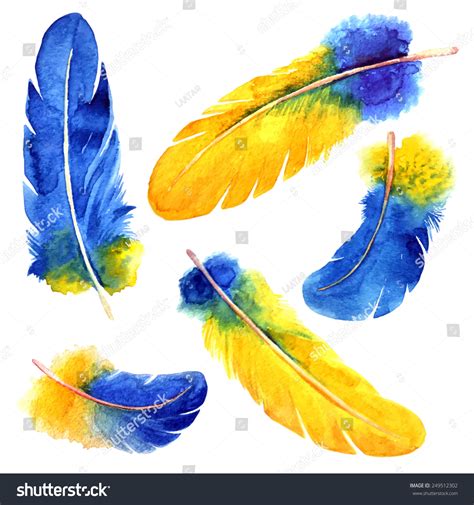 Watercolor Feather Set Hand Drawn Vector Shutterstock