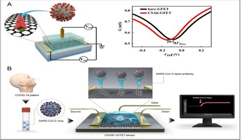 Detection Of The Viral Antigen Sarscov By Biosensors A The