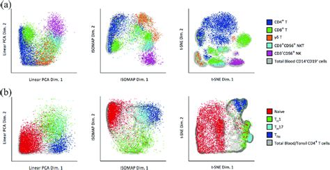 Comparison Of Dimensionality Reduction Methods Pca Isomap And T Sne