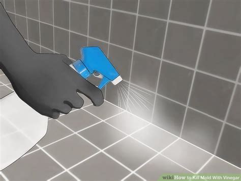 How to Kill Mold With Vinegar: 14 Steps (with Pictures) - wikiHow