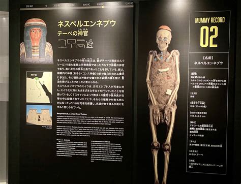 6体のミイラがいざなう古代エジプトの世界——国立科学博物館で「大英博物館ミイラ展」開催中！ イベント ニュース 保護者の方へ 学研キッズネット