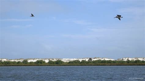 Anastasia State Park Florida In Another Minute Week 342 4k