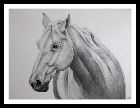 Pencil Sketch - Horse | imagicArt