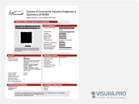 Visure Camerali Online Camera Di Commercio