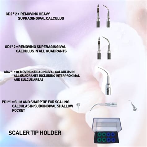 Buy Standard Scaler Tip Kit For Satelec Set Of 6 Pcs Dental