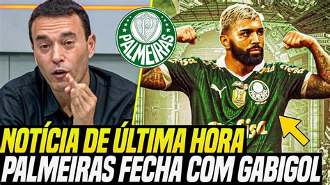 MÍDIA CRAVOU ESTÁ FECHADO o PALMEIRAS ACABOU a NOVELA GABIGOL